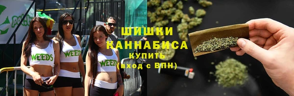 мдпв Ладушкин
