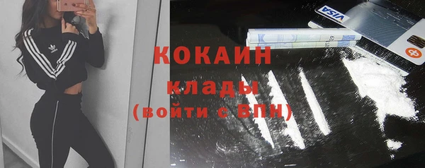 винт Лагань