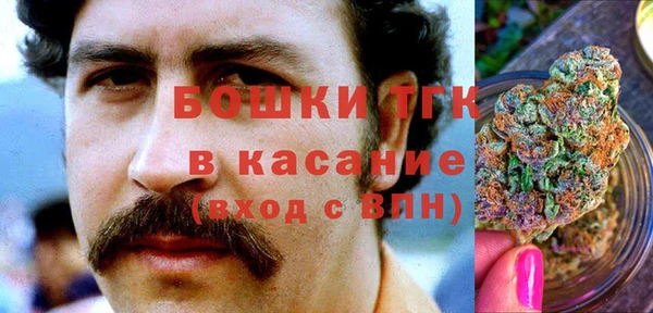 винт Лагань