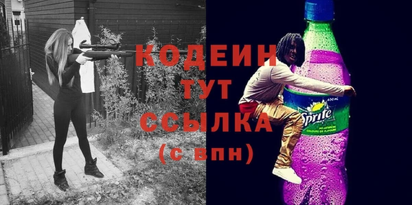 мдпв Ладушкин