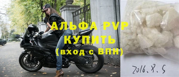 винт Лагань