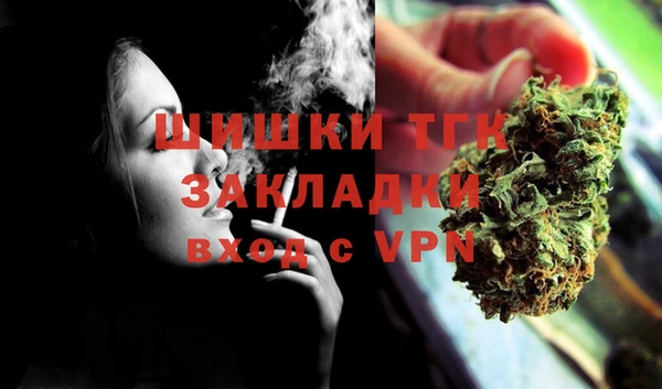 мдпв Ладушкин