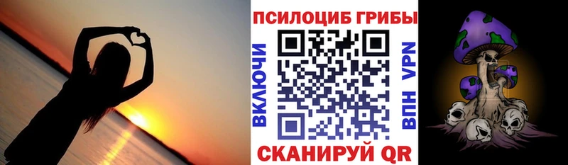 Псилоцибиновые грибы MAGIC MUSHROOMS  kraken зеркало  Подпорожье  хочу наркоту 