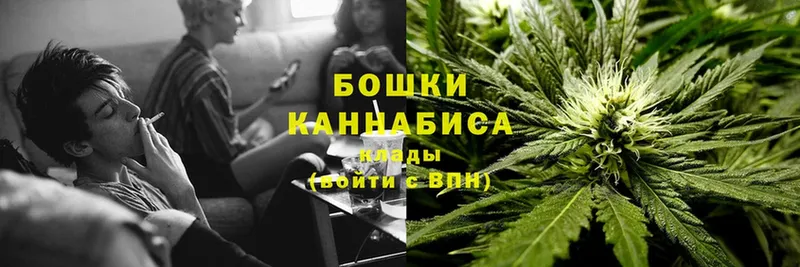 Бошки Шишки SATIVA & INDICA  где продают наркотики  Подпорожье 